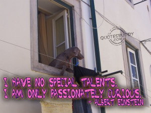 ... pictures: Curiosity quotes, quotes about happiness, quotes about life