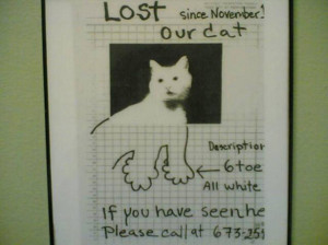 Funny Pet Signs Funny Pets Pictures LoL Pics in Snow Tumblr in ...