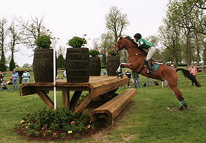 Rider and horse in Cross Country Course