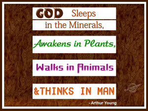 God sleeps in the minerals, awakens in plants...