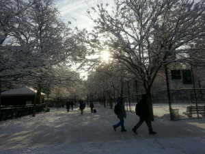 Winter wonderland in my city...