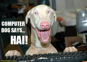 funny dog quotes blog, funny dog quotes about food, funny dog videos.