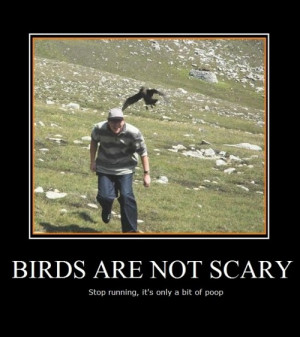 Scary Animals with Funny Quotes