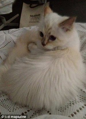 Thread: Meet Choupette, Karl Lagerfeld's New Kitten‎