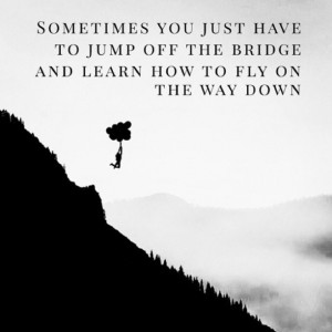 Sometimes you just have to jump off the bridge and learn to fly on the ...