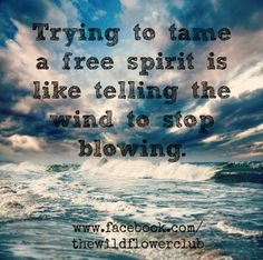free spirit quote wisdom, free spirit quotes