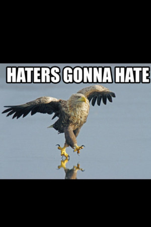 Eagle Walk-Haters Gonna Hate