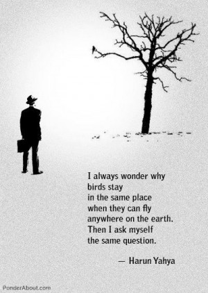 ... fly anywhere on the earth... Then I ask myself the same question