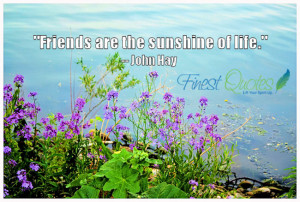 Friends are Sunshine Quotes