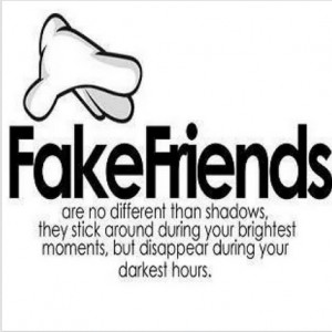 Quotes About Haters and Fake People