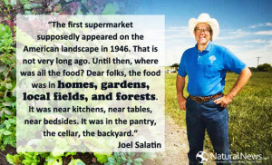 The first supermarket supposedly appeared on the American Landscape in ...