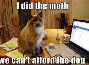 Did The Math Cat Meme