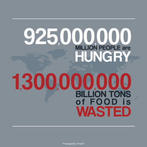 Why Haven’t We Solved World Hunger Yet??