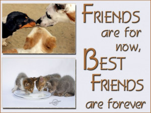 Friends are for now, best friends are forever ~ Best Friend Quote
