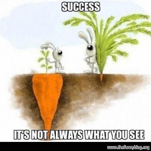 Bird Of Funny Success Quotes. QuotesGram