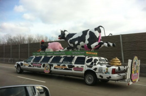 Funny Photo of the day - Want your limo to be noticed?