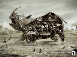 WWF: Stop criminals making a killing