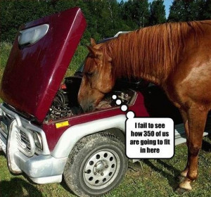 car-humor-funny-joke-road-street-drive-driver-horsepower-horse-power ...