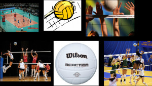 Volleyball Quotes Volleyball Pictures