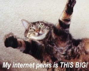 My Internet Penis is this Big – Cat Quote