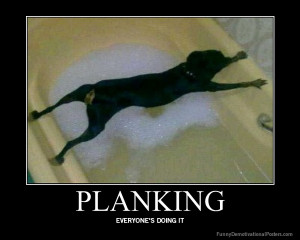 Funny Planking