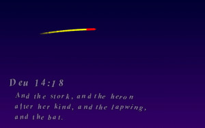 Bible Quotes Fireworks - screenshot