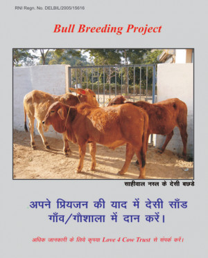 Bucking Bull Consulting Services,Semen , Embryo,Bucking Bulls Sales