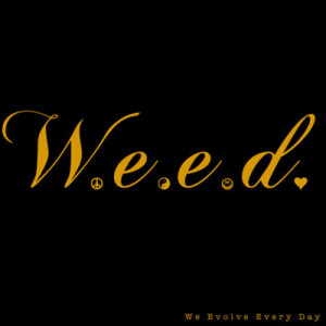 Find and follow posts tagged free weed on Tumblr