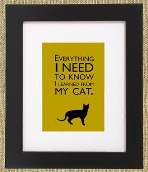 Everything I need to know I learned from my cat.