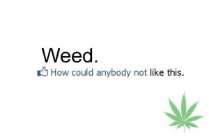 Dope Weed Quotes Tumblr Weed, dope, not like
