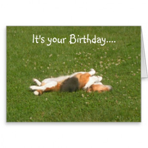 Beagle Birthday Card (Funny)