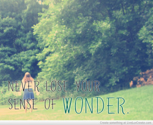 Never Lose Your Sense Of Wonder