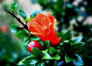 Funny Quotes Contact Dmca...