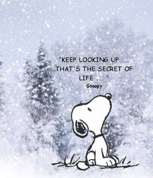 Snoopy life quote