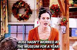 Monica Geller Quotes Ross geller monica geller