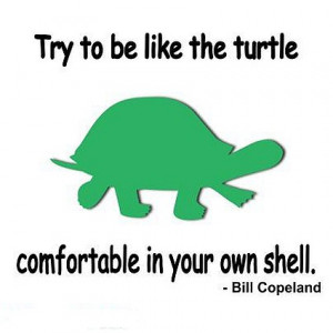 ... be like the turtle- comfortable in your own shell. – Bill Copeland