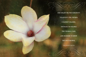 The Inspiring Quotes From the Heart Collection