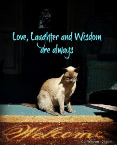 welcome-cat-merlin-quote-wisdom