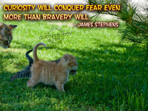 Curiosity Will Conquer Fear Even More Than Bravery Will.