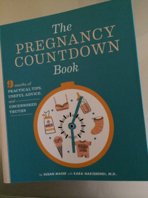 Pregnancy Quotes Pinterest The pregnancy countdown book: