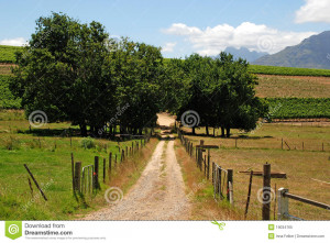 Beautiful Country Road That