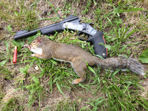 Thread: Squirrel hunting with the Rossi Matched Pair Pistol!