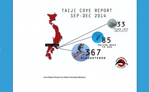 Taiji Cove Report