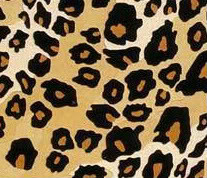 Leopard Print Background photo leopard_print-1.jpg