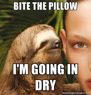 The Rape Sloth - bite the pillow i'm going in dry