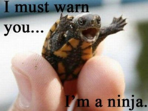 Ninja Turtle!