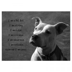 Ban ignorance, not Pit Bulls.