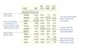 Mutual Understanding