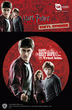 Harry Potter Trio Mini Poster