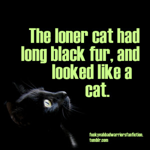The loner cat had long black fur, and looked like a cat.